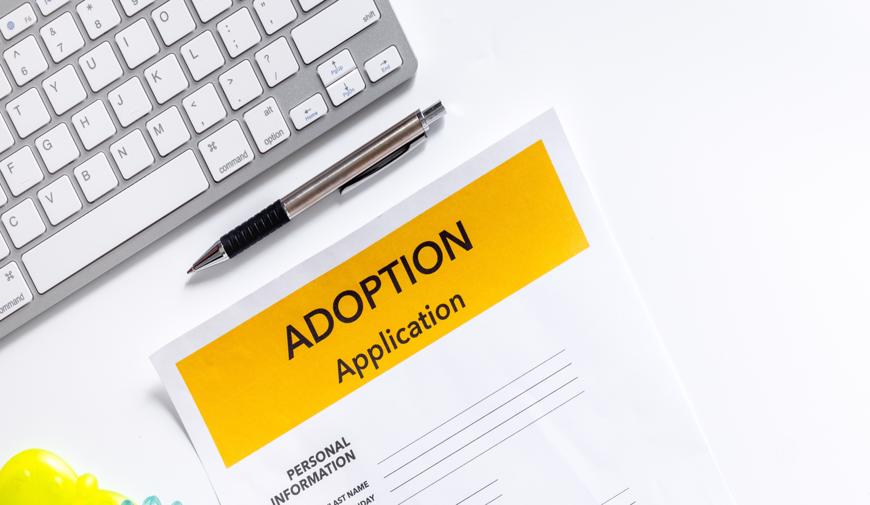 this image shows an adoption application.