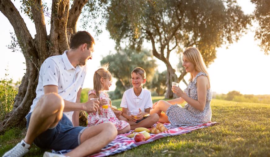 this image shows a family enjoying a picnic during the afternoon. a san antonio adoption lawyer can help your family grow.